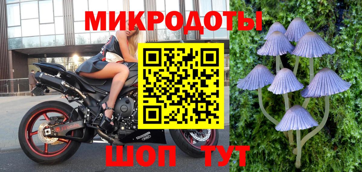 Галлюциногенные грибы мицелий  Вход с VPN  Псилоцибиновые грибы мицелий  хочу наркоту  Верхний Уфалей 