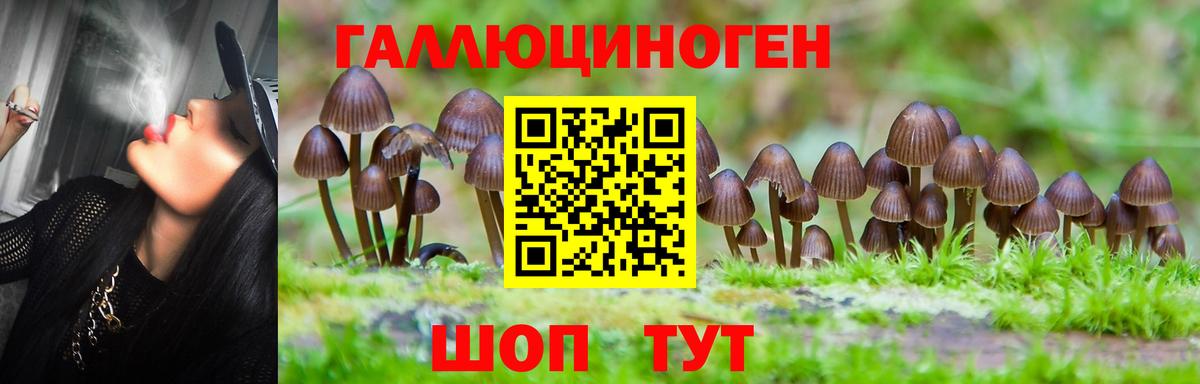 Галлюциногенные грибы прущие грибы Верхний Уфалей